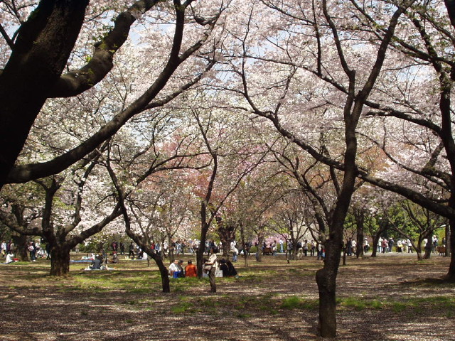 img0040.jpg