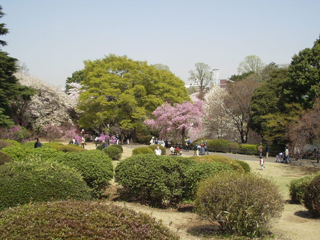 img0044.jpg