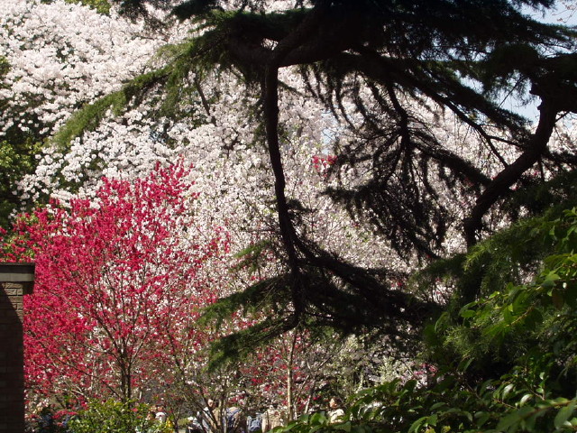 img0046.jpg