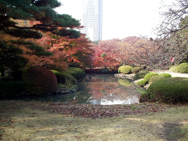img0048.jpg