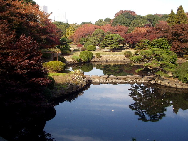 img0049.jpg