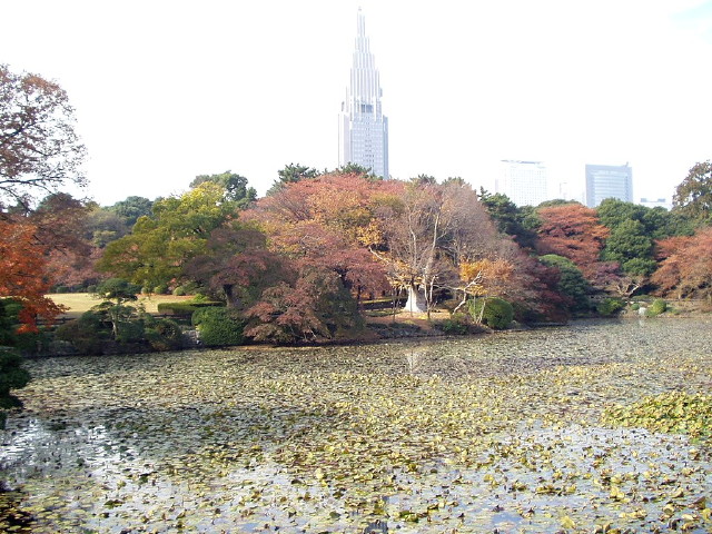 img0050.jpg