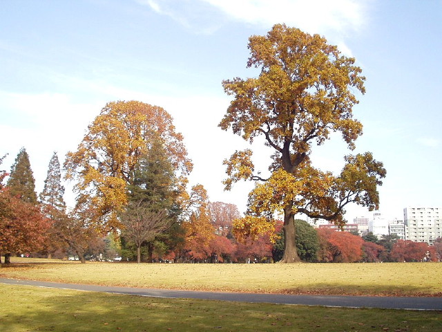 img0051.jpg