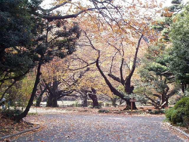img0054.jpg