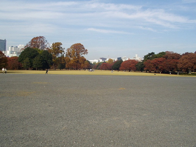 img0056.jpg