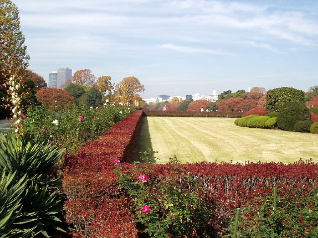 img0057.jpg