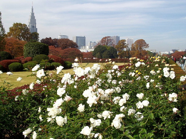 img0058.jpg
