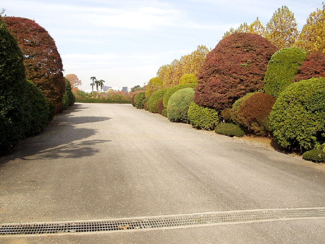 img0060.jpg