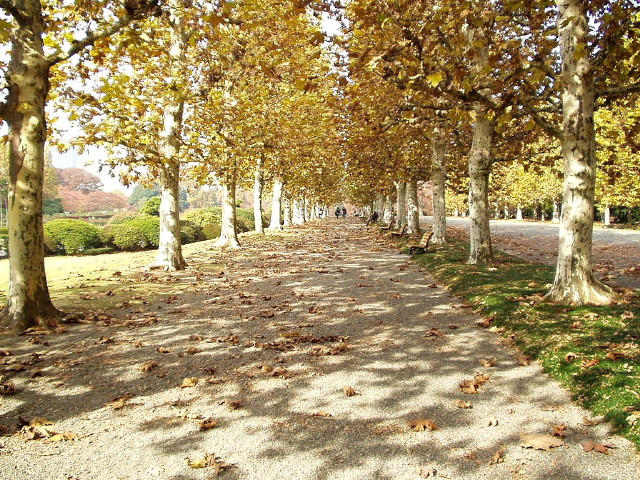 img0061.jpg