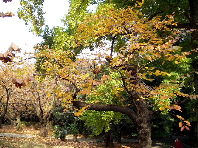 img0062.jpg