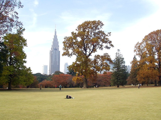 img0064.jpg