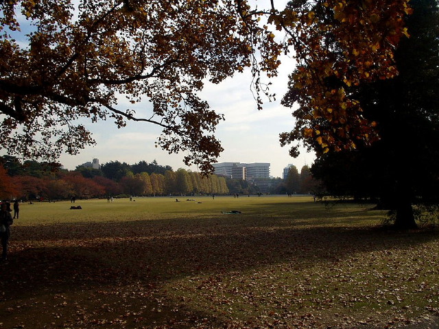 img0068.jpg