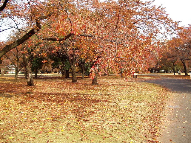 img0069.jpg