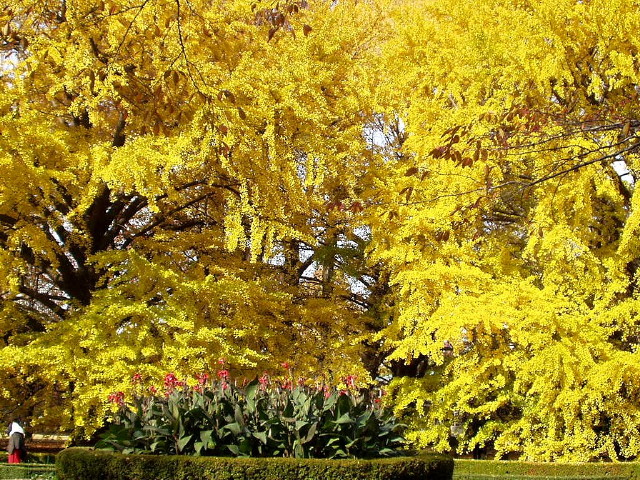 img0071.jpg