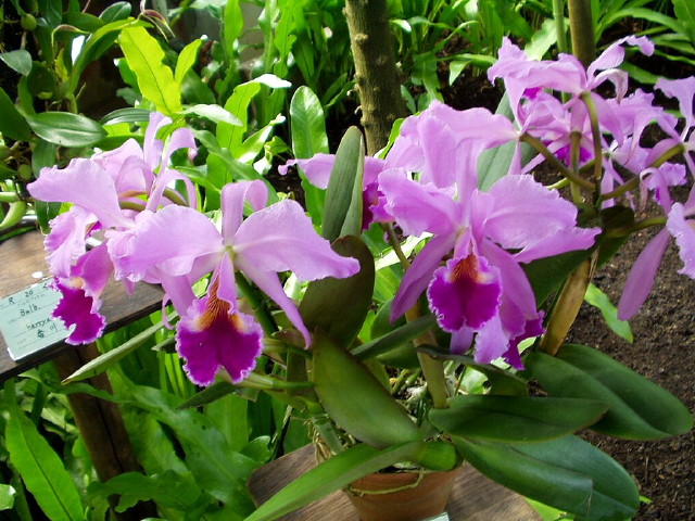img0075.jpg