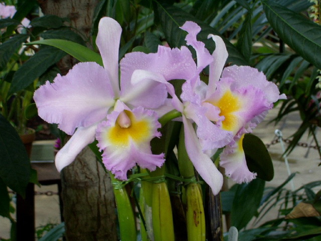 img0077.jpg