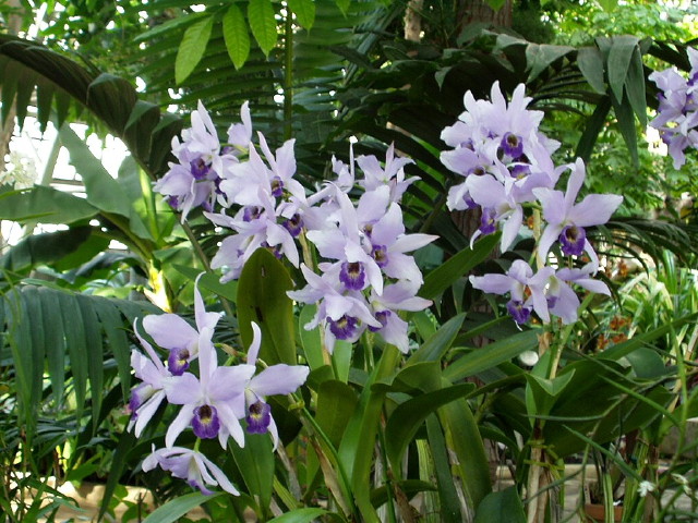 img0078.jpg