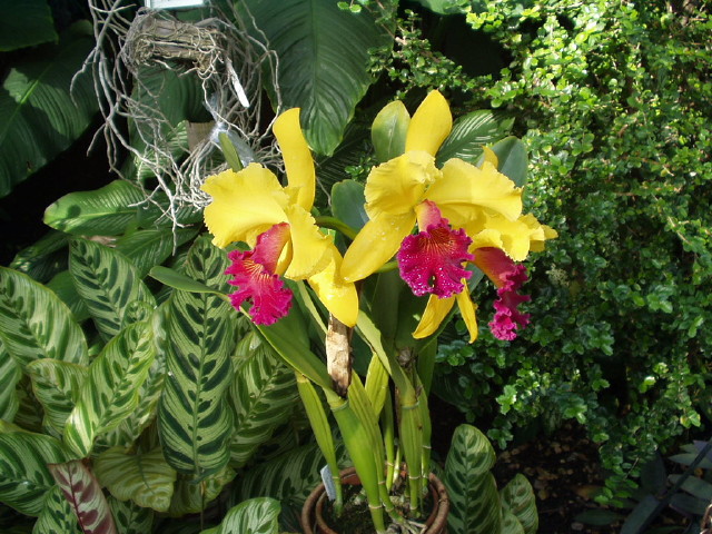 img0079.jpg