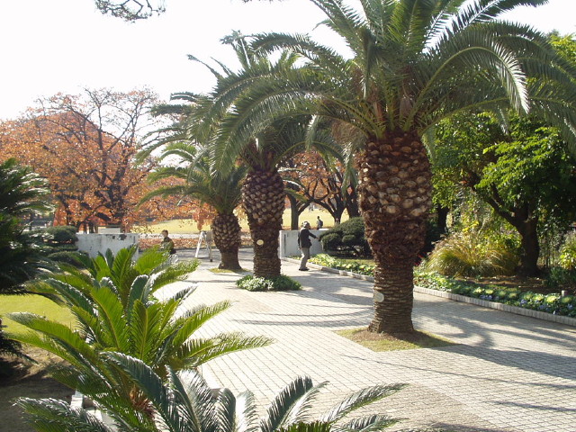 img0081.jpg