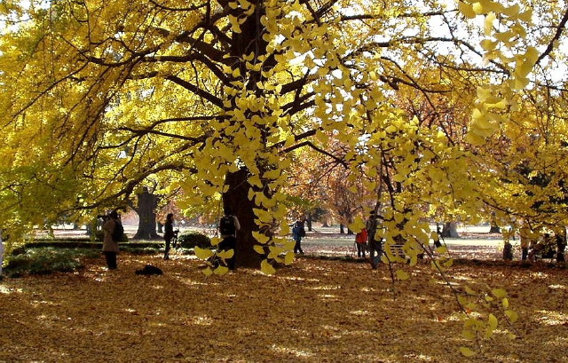 img0083.jpg