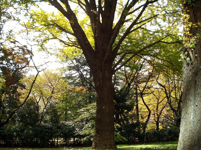 img0085.jpg