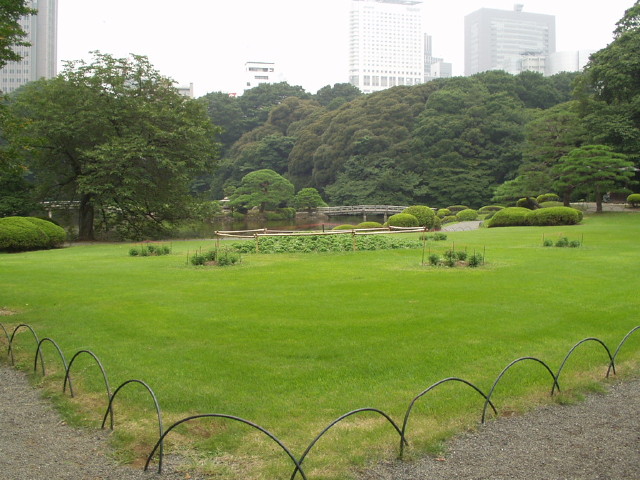 img0088.jpg