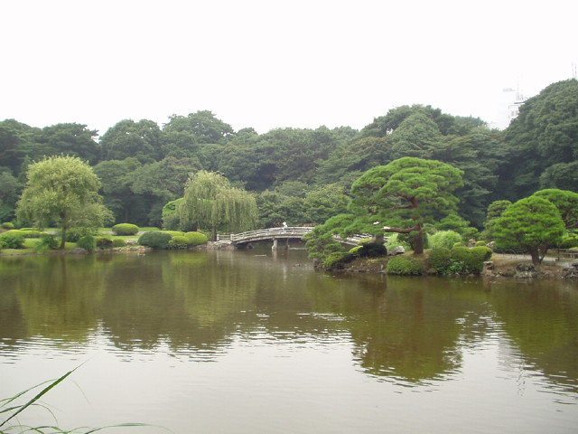 img0091.jpg