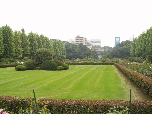 img0096.jpg