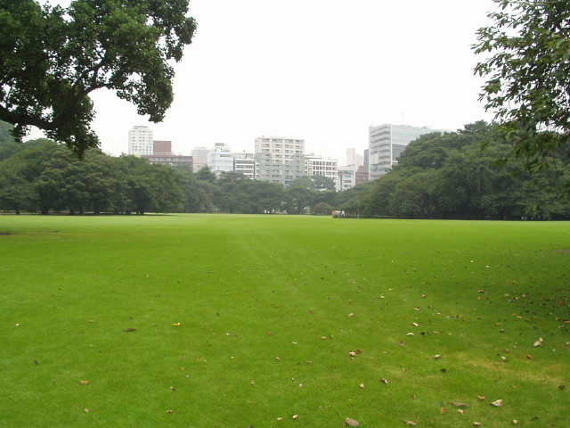 img0104.jpg