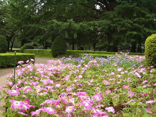 img0107.jpg