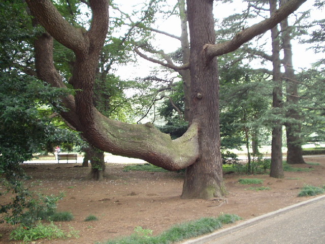 img0111.jpg