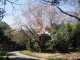 img0002.jpg
