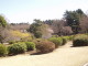 img0003.jpg