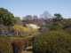 img0004.jpg