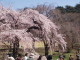 img0005.jpg