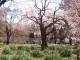 img0006.jpg
