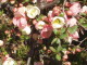 img0012.jpg
