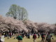 img0017.jpg