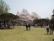 img0020.jpg