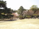 img0021.jpg