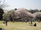 img0022.jpg