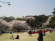 img0023.jpg