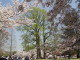 img0024.jpg