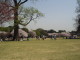img0025.jpg