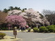img0029.jpg