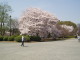img0033.jpg