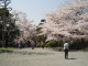 img0034.jpg