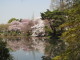 img0037.jpg
