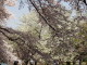 img0041.jpg