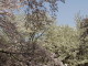 img0042.jpg